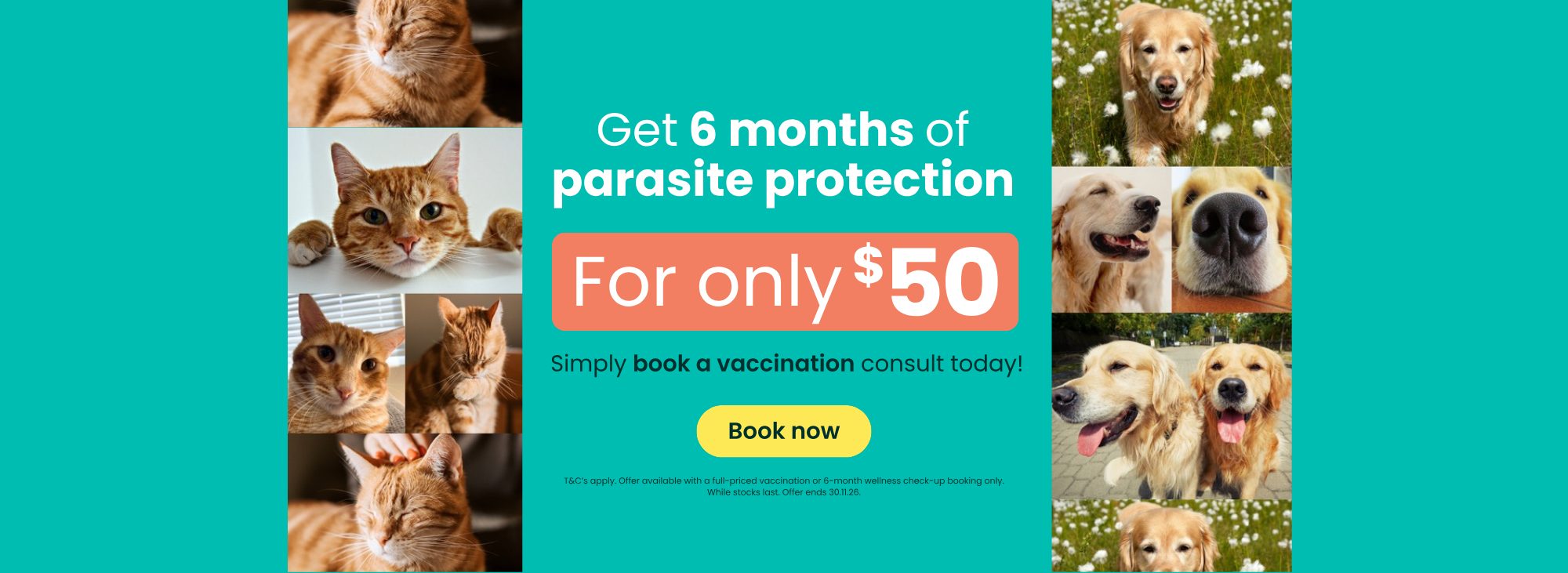 Get 6 months of parasite protection for only $50. Simply book a vaccination consult today. T&C's apply. Offer ends 30.11.26.